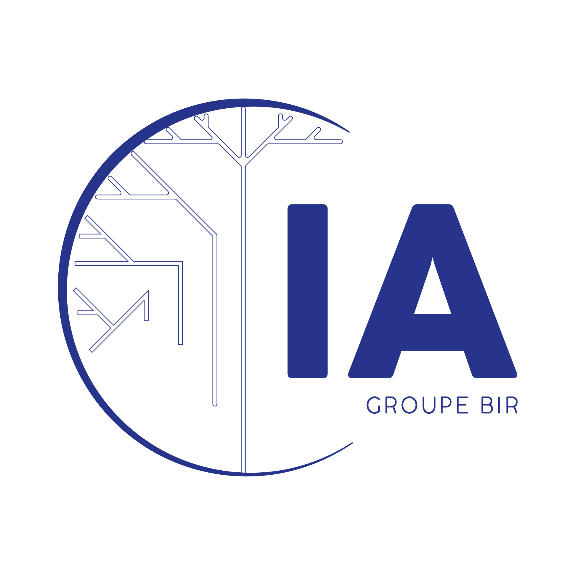 IA Groupe BIR