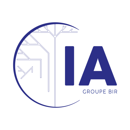 IA Groupe BIR